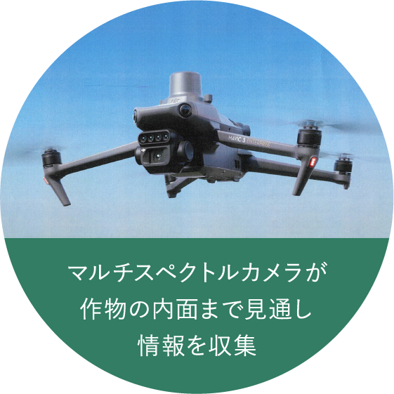 マルチスペクトルカメラが作物の内面まで見通し情報を収集